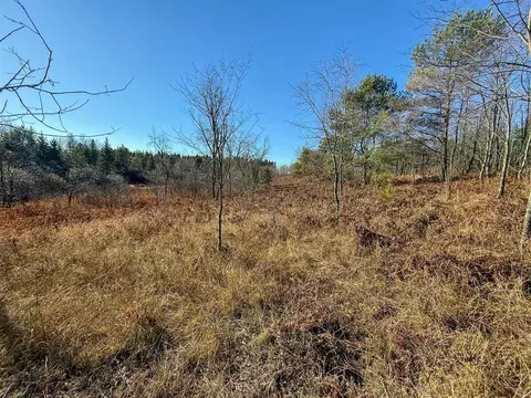 40 E 10, Manton, MI 49663 photo 4