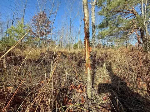 40 E 10, Manton, MI 49663 photo 20