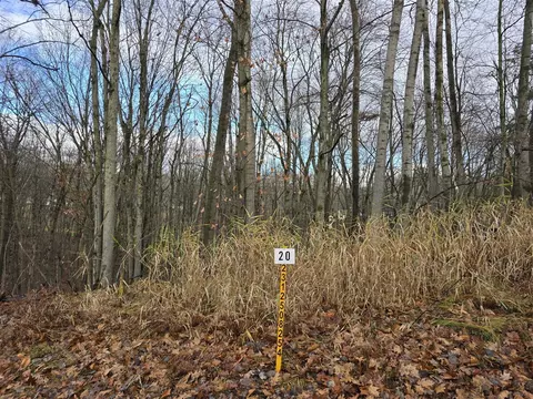 9680 Pere Marquette, Canadian Lakes, MI 49346