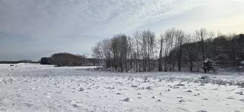 V/l 100th, Rothbury, MI 49452