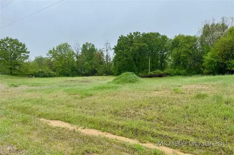 Parcel 1 Leaf Lane, Freeport, MI 49325 photo 3