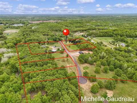 Parcel 1 Leaf Lane, Freeport, MI 49325