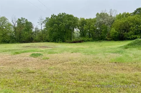 Parcel 1 Leaf Lane, Freeport, MI 49325 photo 4