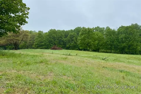 Parcel 9 Leaf Lane, Freeport, MI 49325 photo 7