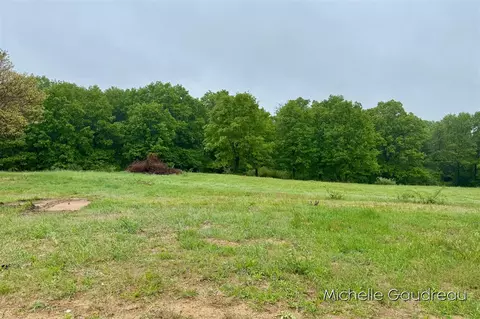 Parcel 9 Leaf Lane, Freeport, MI 49325 photo 6