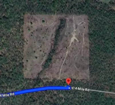 0 E 4 Mile, White Cloud, MI 49349