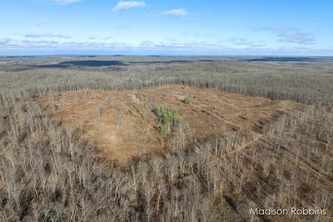 0 E 4 Mile, White Cloud, MI 49349 photo 2