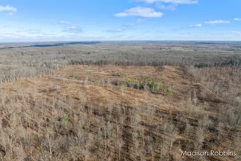 0 E 4 Mile, White Cloud, MI 49349 photo 3