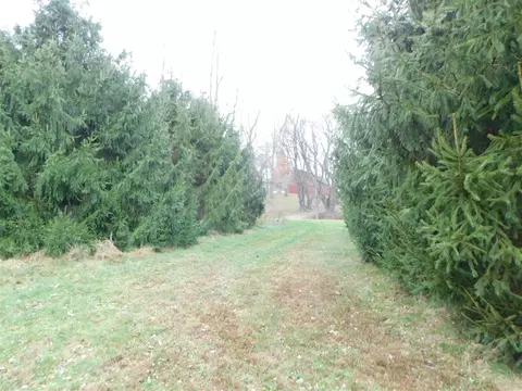 900 E Augusta, Augusta, MI 49012 photo 22