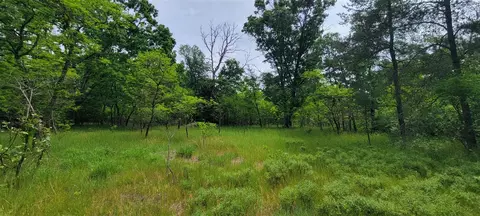V/l Cherry, Baldwin, MI 49304 photo 3
