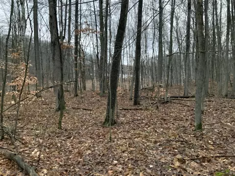 bern LOT 31, Reed City, MI 49677