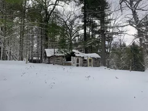 Exterior - 9463 E Pomeroy Spgs, Irons, MI 49644 photo 4 of 10