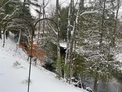 View/Area - 9463 E Pomeroy Spgs, Irons, MI 49644 photo 2 of 5