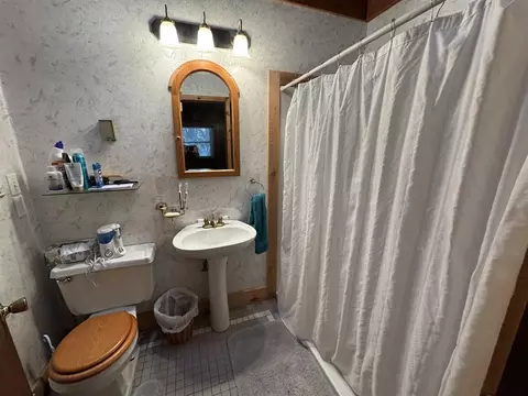 Bath - 9463 E Pomeroy Spgs, Irons, MI 49644 photo 1 of 3