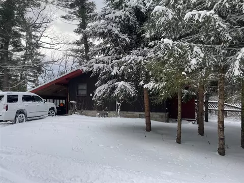 Exterior - 9463 E Pomeroy Spgs, Irons, MI 49644 photo 9 of 10