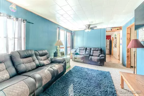Living - 310 Kiddville, Belding, MI 48809 photo 1 of 3