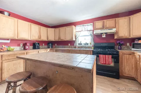 Kitchen - 310 Kiddville, Belding, MI 48809 photo 1 of 3
