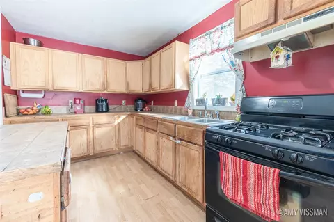 Kitchen - 310 Kiddville, Belding, MI 48809 photo 3 of 3