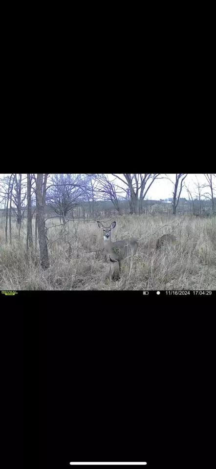 0 Keim, Freeport, MI 49325 photo 15