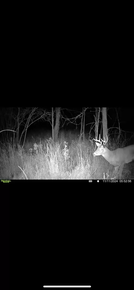 0 Keim, Freeport, MI 49325 photo 14