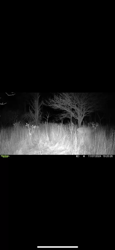0 Keim, Freeport, MI 49325 photo 12