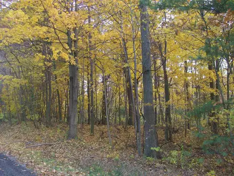 Parcel 2 66th/135th, Saugatuck, MI 49453