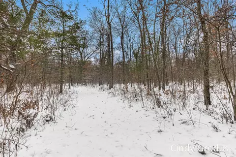 4360 E 82nd, Newaygo, MI 49337 photo 22