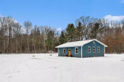 4360 E 82nd, Newaygo, MI 49337