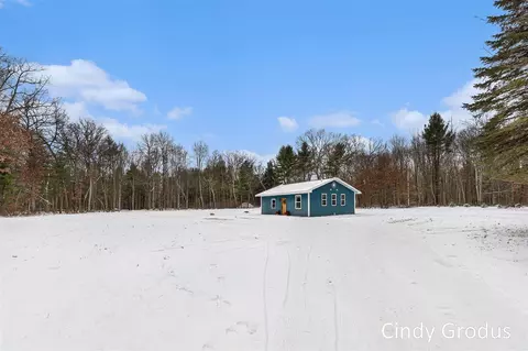 4360 E 82nd, Newaygo, MI 49337 photo 3