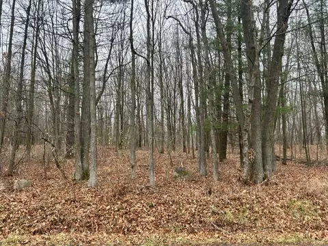 0 Chapman, Stockbridge, MI 49285