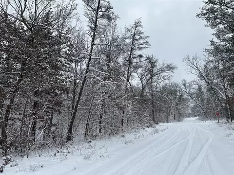 2569 W Lakewood Grv, Baldwin, MI 49304