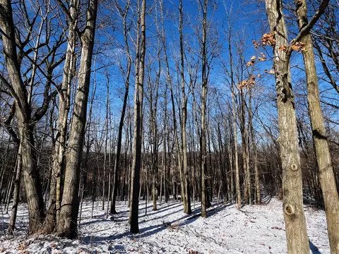 Other - 7134 Reading, Osseo, MI 49266 photo 17 of 30