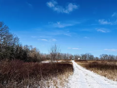 Other - 7134 Reading, Osseo, MI 49266 photo 14 of 30