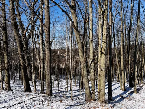 Other - 7134 Reading, Osseo, MI 49266 photo 18 of 30
