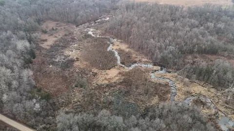 View/Area - 7134 Reading, Osseo, MI 49266 photo 6 of 7