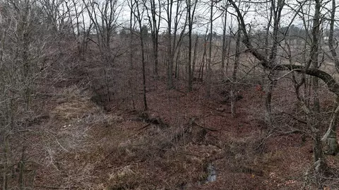 Other - 7134 Reading, Osseo, MI 49266 photo 7 of 30