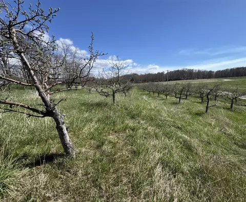 0 Pinot #LOT 17, Manistee, MI 49660