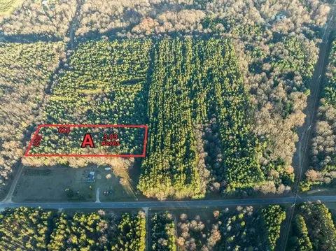 Parcel A Scout Road, Mears, MI 49436