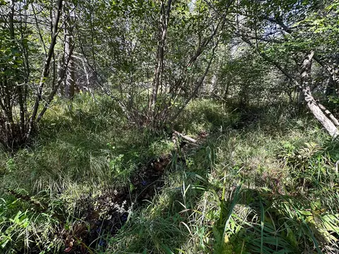 4 W 43 W 16, Mesick, MI 49668 photo 15