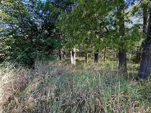 4 W 43 W 16, Mesick, MI 49668 photo 9