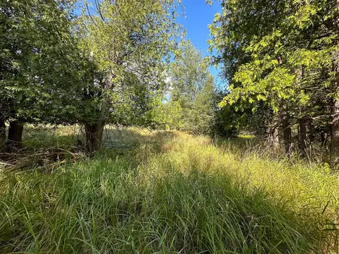 4 W 43 W 16, Mesick, MI 49668 photo 11