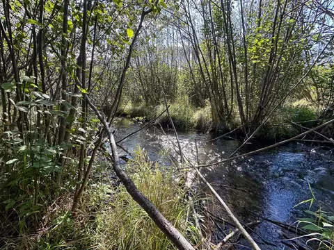 4 W 43 W 16, Mesick, MI 49668 photo 12