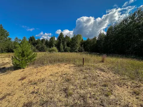 4 W 43 W 16, Mesick, MI 49668 photo 3