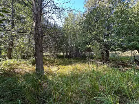 4 W 43 W 16, Mesick, MI 49668 photo 8