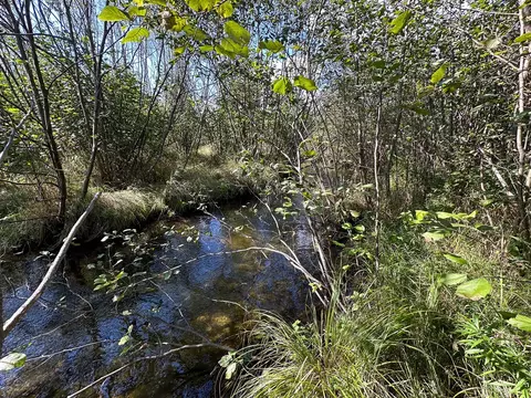 4 W 43 W 16, Mesick, MI 49668 photo 13