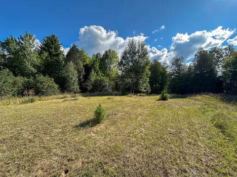 4 W 43 W 16, Mesick, MI 49668