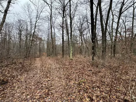 10176 Parcel A S Pne, Howard City, MI 49329