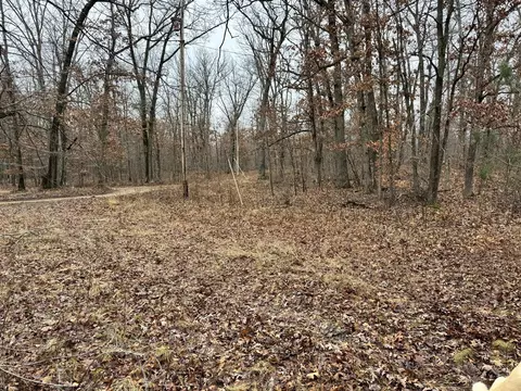 10176 Parcel B S Pne, Howard City, MI 49329