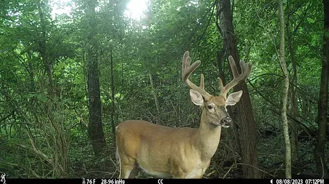 Crooked Creek, Cassopolis, MI 49031 photo 35