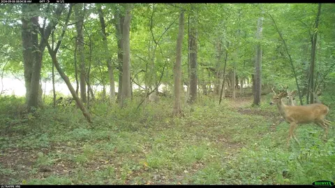 Crooked Creek, Cassopolis, MI 49031 photo 39